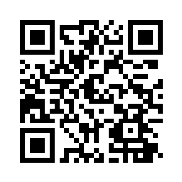 Pay Now QR code